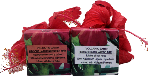 Healthy Hair - Use Hibiscus Hair Care Pack