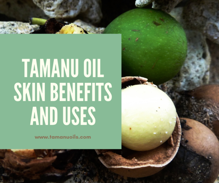 Tamanu Oil Skin Benefits And Uses